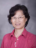 Wen Shen, Ph.D.